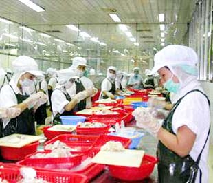 Chế biến thủy sản xuất khẩu.