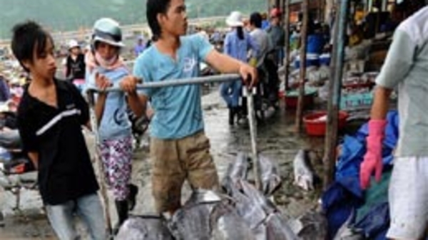 Chỉ số giá tháng 10/2009: Sóng nhẹ trên những dải đá ngầm?