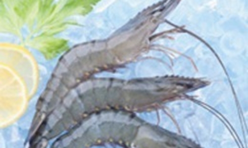 MPC xuất khẩu đạt 134,31 triệu USD trong 6 tháng