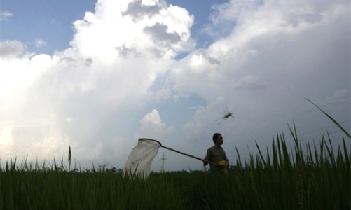 “Tam nông” đói vốn!