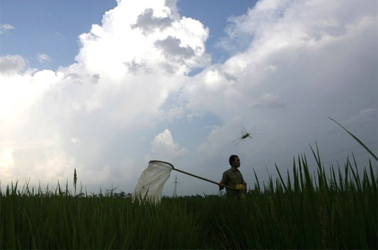 Không dễ để nông dân tiếp cận vốn vay cho sản xuất - Ảnh: Reuters.