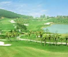 Chỉ trong 2 năm rưỡi, từ tháng 9/2004 đến tháng 3/2007, UBND Tỉnh Long An chấp thuận đầu tư cho 13 dự án sân golf, đồng thời tiếp nhận hồ sơ 5 dự án sân golf khác.