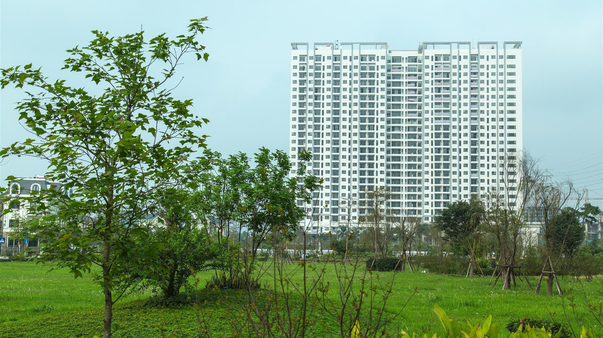 Anland được xây dựng trên khu đất có tổng diện tích hơn 7.000 m2 với mật độ xây dựng chiếm 35% diện tích, toàn bộ phần còn lại được dành cho khuôn viên cây xanh.