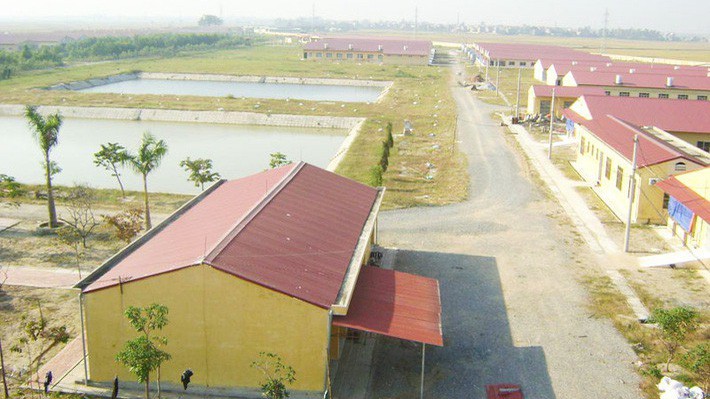Một công ty chuyên sản xuất giống lợn của Dabaco.