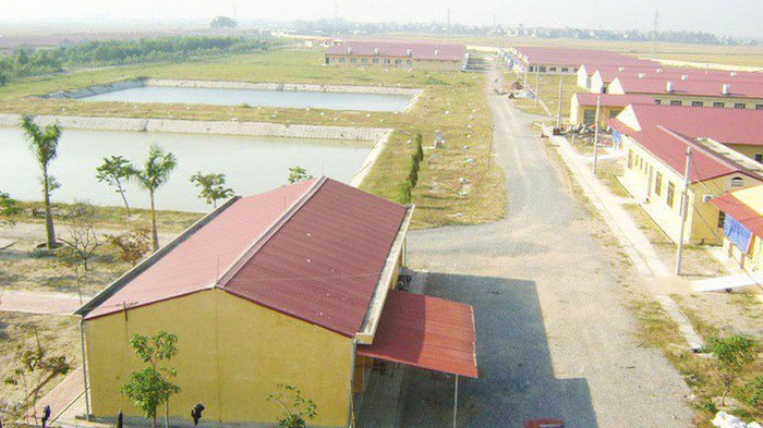 Một công ty chuyên sản xuất giống lợn của Dabaco.