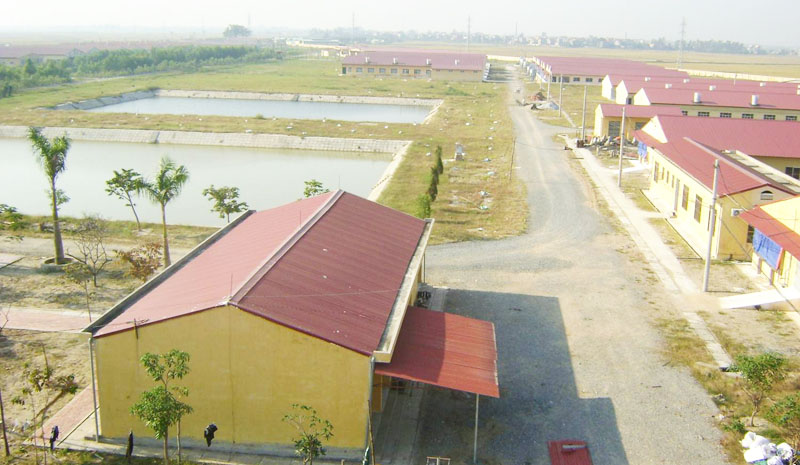 Một công ty chuyên sản xuất giống lợn của Dabaco.