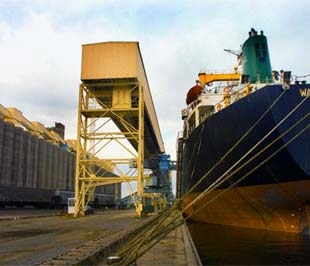 Châu Á vẫn là thị trường nhập khẩu lớn nhất của Việt Nam, chiếm tới 79% tổng kim ngạch nhập khẩu.