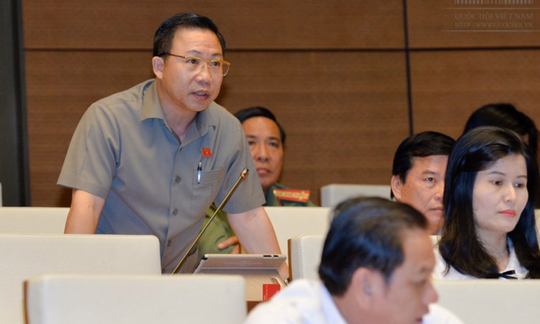 Đại biểu Lưu Bình Nhưỡng phát biểu tại nghị trường.