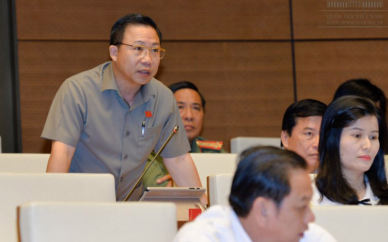 Đại biểu Lưu Bình Nhưỡng phát biểu tại nghị trường.