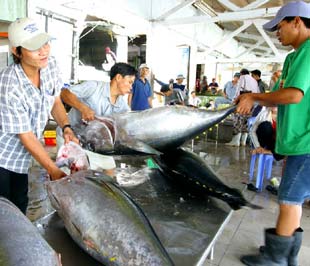 Những ngư dân đánh bắt xa bờ cũng cần phải được đưa vào diện miễn thuế.