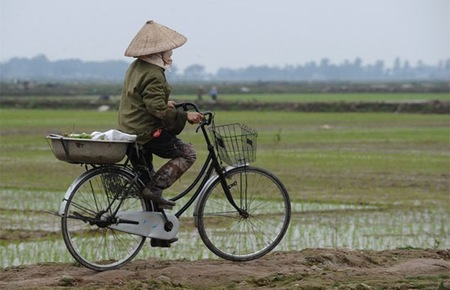 Nhiều chuyên gia cho rằng cần phải thừa nhận đa dang hóa sở hữu đất đai, trong đó có hình thức sở hữu tư nhân.