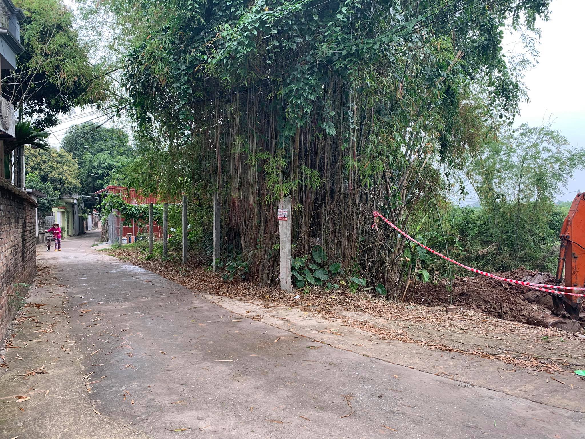 Theo giới thiệu của Minh, một 