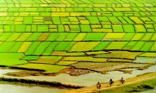 Không điều chỉnh lại đất nông nghiệp đã giao