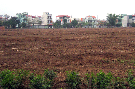 Chính sách quản lý đất đai hiện vẫn còn nhiều bất cập cần sửa đổi - Ảnh: Từ Nguyên.