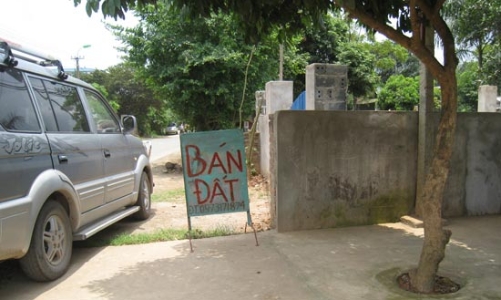 Khi đất Ba Vì tăng giá: Trong thế giới “cò”