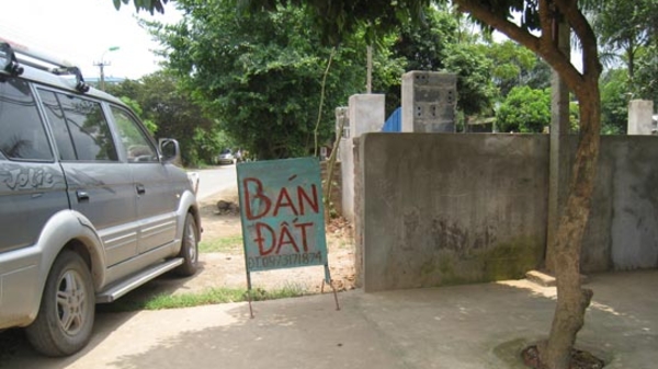 Khi đất Ba Vì tăng giá: Trong thế giới “cò”