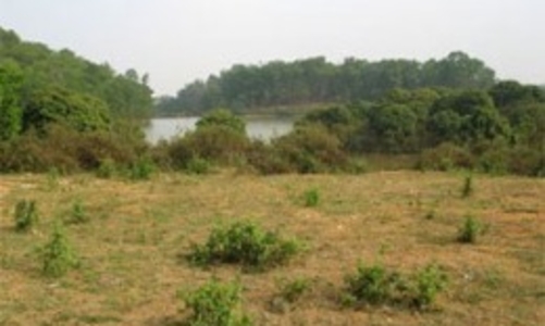 Chuẩn bị sửa đổi Luật Đất đai 2003