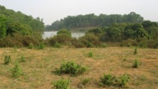 Chuẩn bị sửa đổi Luật Đất đai 2003