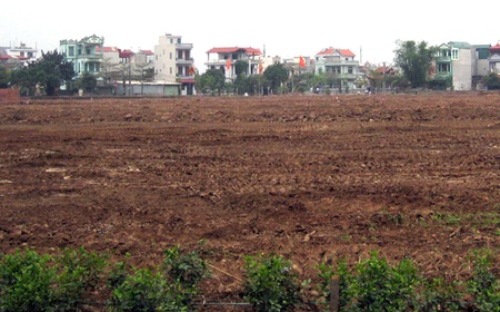 Trong giai đoạn 2009 – 2012, các cơ quan chức năng của Thành phố đã tiến
 hành kiểm tra, xử lý 75 tổ chức vi phạm luật đất đai, lập hồ sơ thu hồi
 16 dự án.