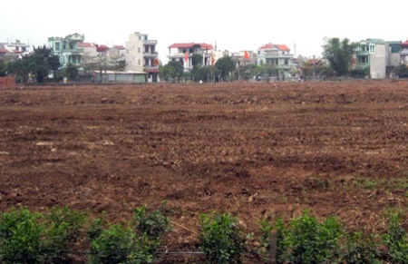 Tâm điểm của các cuộc thanh tra là về việc giao đất, ban hành bảng giá các loại đất, thẩm định giá đất thu tiền sử dụng đất và giá cho thuê đất tại các dự án; giá rừng và giá tính thuế tài nguyên.