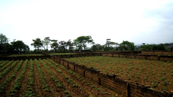 Khi đất Ba Vì tăng giá: Lo “hậu” cơn sốt