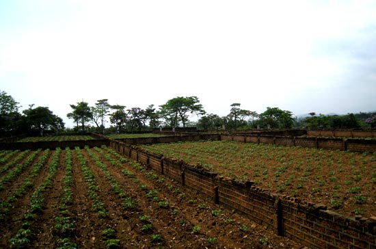 Đề xuất này nhằm tạo điều kiện cho người dân trong việc thực hiện thủ tục hành chính về đất đai.