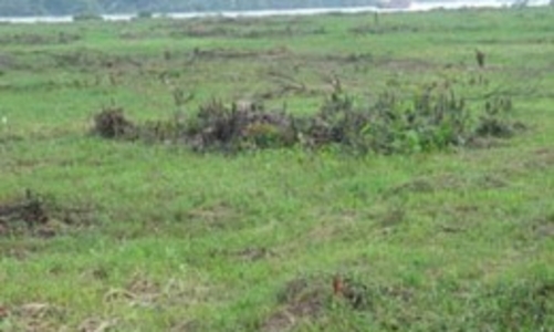 Sắp trình Chính phủ quy hoạch sử dụng đất toàn quốc