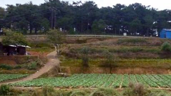 “Đa số tỉnh, thành ủng hộ sở hữu toàn dân về đất đai”