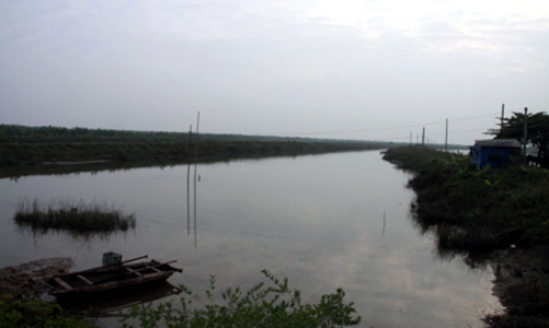 Tháng 3 sẽ kiểm tra việc giao, cho thuê đất bãi bồi