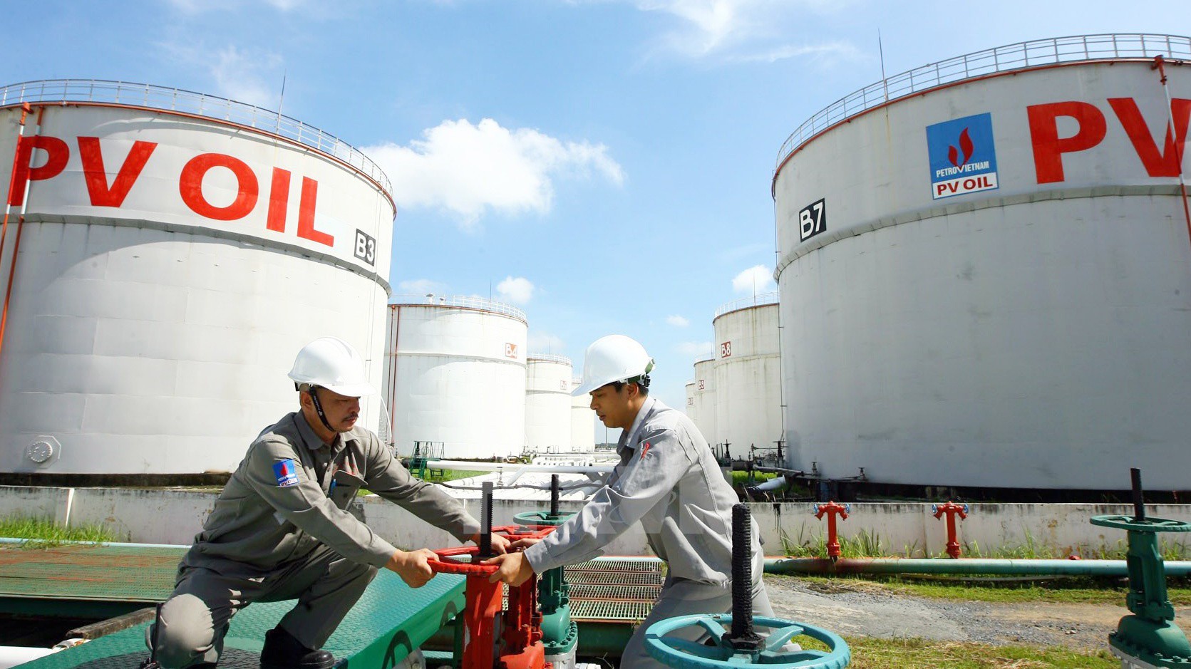 Vốn điều lệ của Tổng công ty Dầu Việt Nam (PV Oil) là 10.342.295.000.000 đồng. Trong đó, cổ phần Petro Vietnam nắm giữ là 363.014.555 cổ phần, chiếm 35,1% vốn điều lệ. 