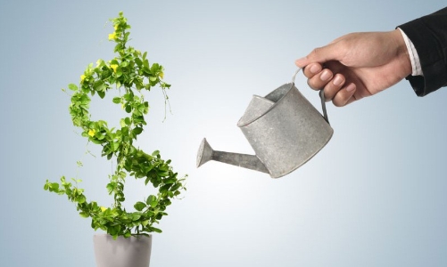 Minh bạch hoá quy định về đầu tư