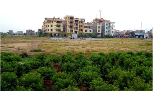 Phí tham gia đấu giá quyền sử dụng đất tối đa 5 triệu đồng