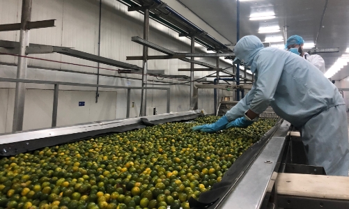 Doanh nghiệp xuất nhập khẩu lao đao giữa “muôn trùng vòng vây” chi phí