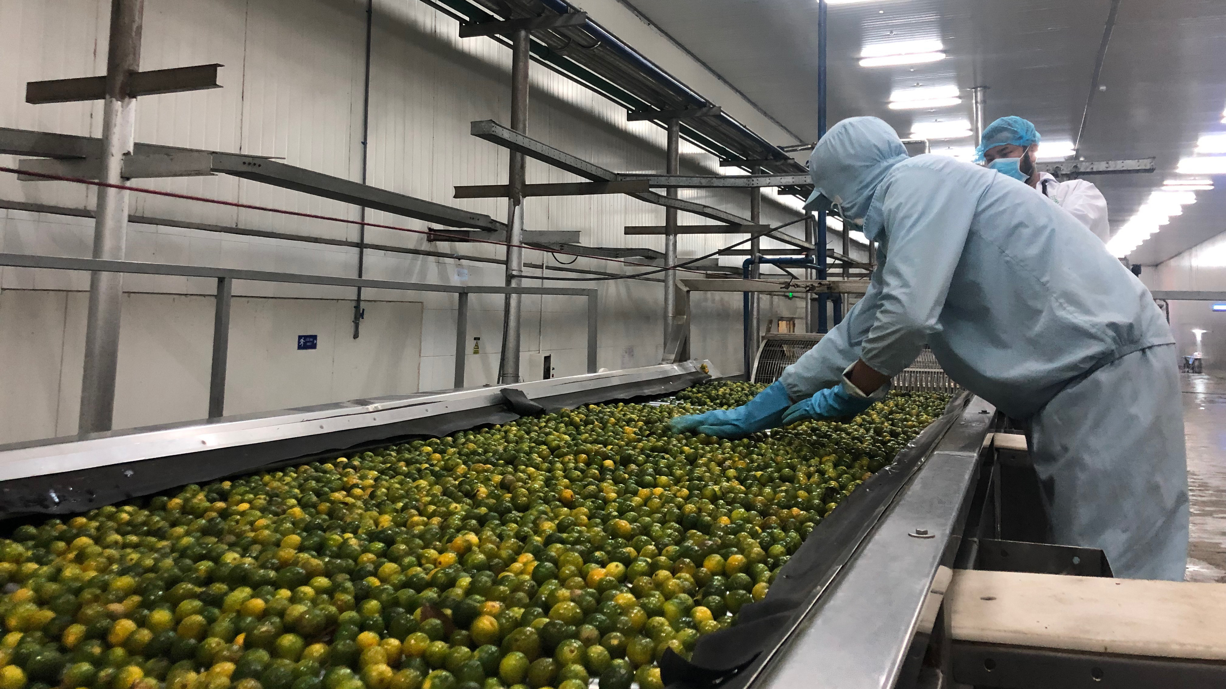 Sản xuất tại một doanh nghiệp chế biến nông sản tại Cần Thơ