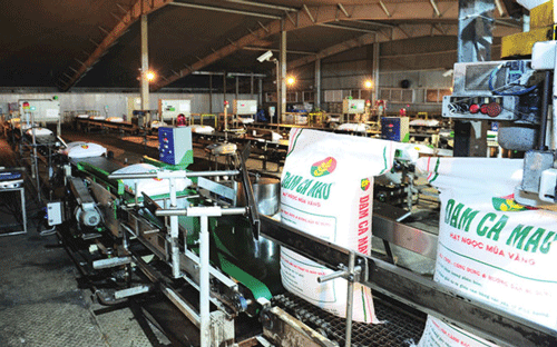 DCM luôn mong muốn tạo ra các giá trị mới cho sản phẩm của công ty ở trong nước và quốc tế. 