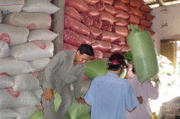 Do tác động của hậu quả cơn bão Kaseta, qua 15 ngày đầu tháng 10, giá gạo xuất khẩu đã tăng lên, bình quân đạt 390,28 USD tấn.