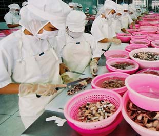ĐBSCL có khoảng 120 doanh nghiệp chế biến thủy sản xuất khẩu, với công suất tương đương 3.200 tấn/ngày, trong đó có 74 doanh nghiệp đạt tiêu chuẩn xuất hàng sang thị trường EU.