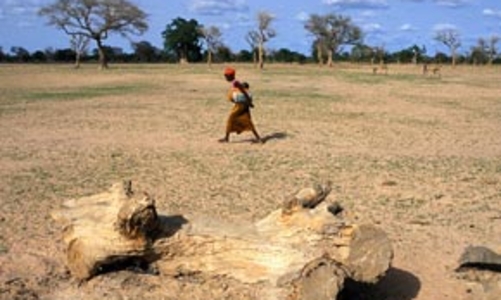Sa mạc hoá gây thiệt hại lớn về kinh tế