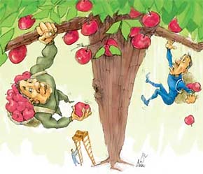 Trong cuộc chơi này, thế yếu thường rơi vào nhà đầu tư nhỏ lẻ.