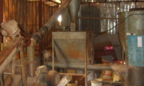 Nhộn nhạo sản xuất thức ăn chăn nuôi