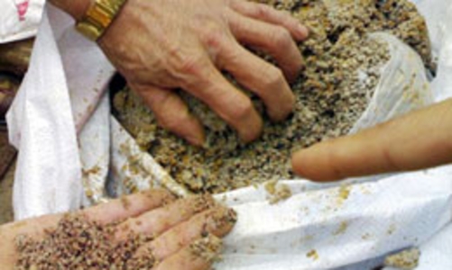 Hợp tác chống phân bón không đảm bảo chất lượng 