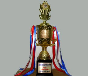 Cúp vàng thương hiệu mạnh.
