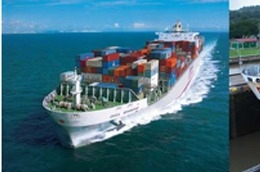 VSG dự kiến lỗ 31,5 tỷ đồng trong năm 2011.