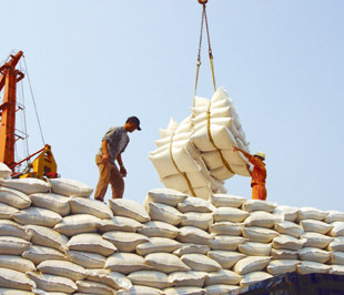 Trong tháng 1/2009, lần đầu tiên kể từ sau tháng 1/2006 Việt Nam xuất siêu tới 467 triệu USD - Ảnh: Việt Tuấn.