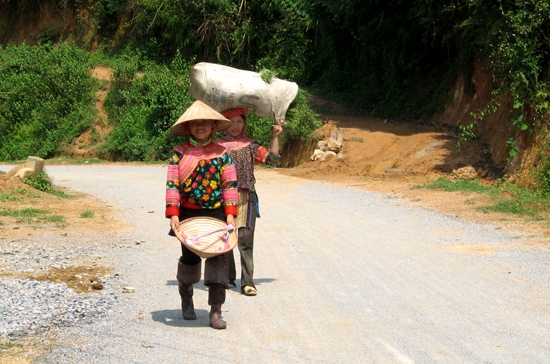 Đường giao thông nông thôn do Bộ Phát triển Quốc tế Anh hỗ trợ.