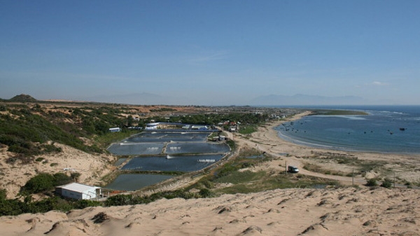 Mặt bằng đã được quy hoạch cho dự án điện hạt nhân Ninh Thuận được chuyển đổi để phục vụ phát triển kinh tế - xã hội của địa phương nhưng bảo đảm thuận lợi cho việc thu hồi khi nhà nước thực hiện dự án quan trọng quốc gia.