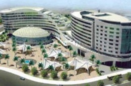 Trong quý 4/2009, DIG sẽ phát hành 30 triệu cổ phiếu để trả cổ tức với tỷ lệ 7:3.