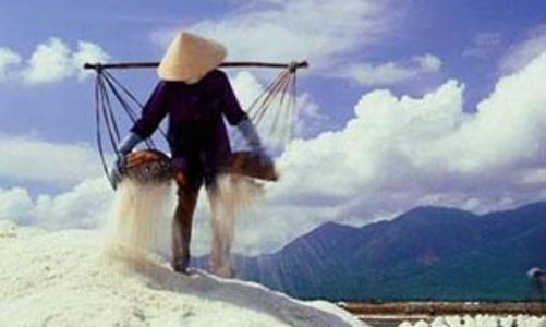 Ngành muối cần phát huy “địa lợi”, tìm lại “nhân hòa”