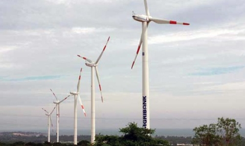 Xây nhà máy điện gió công suất lớn tại Cà Mau