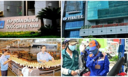 Bức tranh doanh nghiệp nhà nước 2018: Doanh thu 193.510 tỷ, lãi 26.425 tỷ